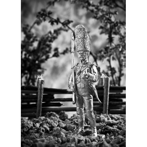 Гренадер полка Корона