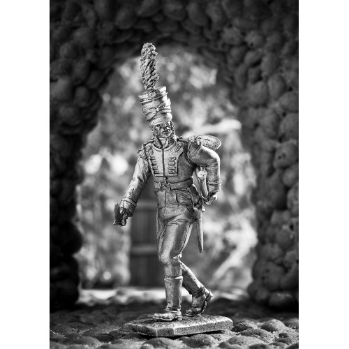 Корнет полка вюртембергских егерей