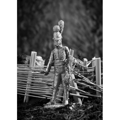 Майор баварского линейного полка 1812 год