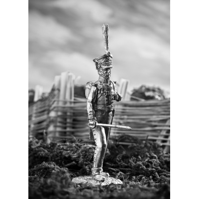 Обер офицер лейб гвардии Литовского полка 1812 год.