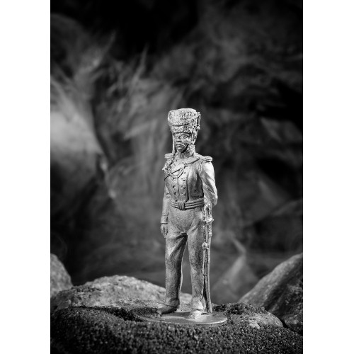 Обер-офицер эскадрона Скаржинского, 1812-14 гг.