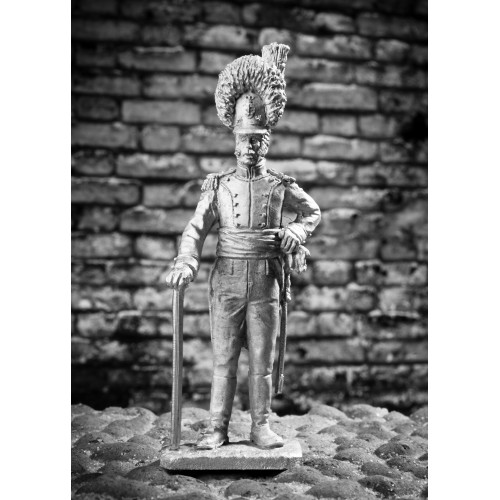 Офицер линейного вюртембергского полка