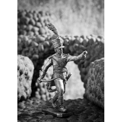 Офицер полка вюртембергских егерей.