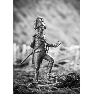 Офицер шведского гренадерского полка 1808-17 год