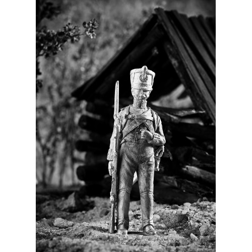 Рядовой гарнизонных полков, 1812 г.