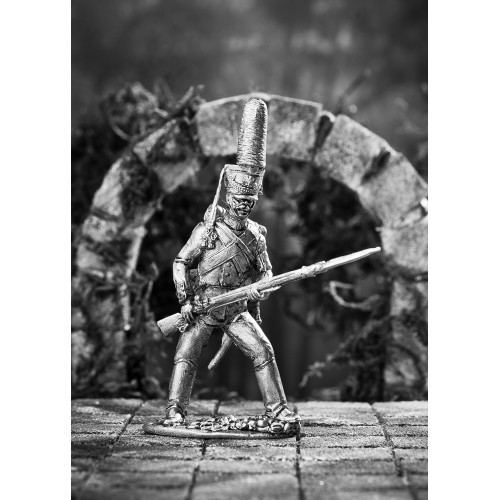 Рядовой гренадерской роты морского полка, ноябрь 1810- февраль 1811 г.