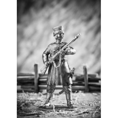 Рядовой калмыцких полков 1812-1814 г.г.