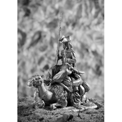 Рядовой полка дромадеров с верблюдом 1801 год