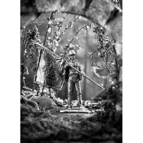 Сержант знаменосец 1 пехотного полка Вюртемберга 1812 год