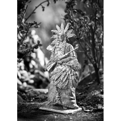 Римский Нос-военный вождь шайенов