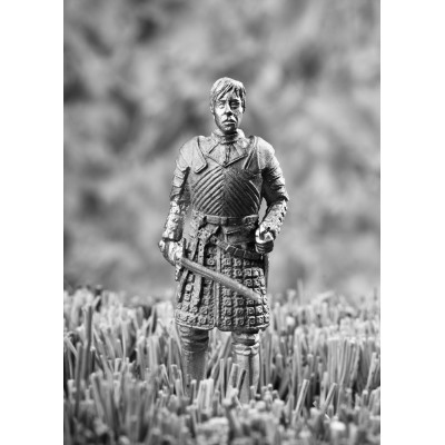 Женщина - воин