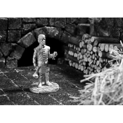 Королевский советник