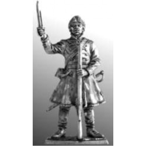 Фузелер выборных солдатских полков, 1698-1702гг. Россия