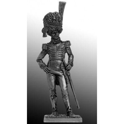 Полковник гвардии, Неаполитанское королевство. 1814 г