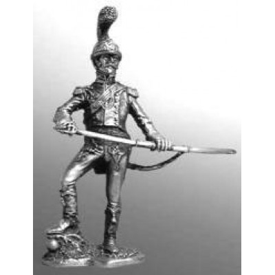 Офицер шевалежерского полка, 1811-1814