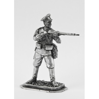 Рядовой 195 пехотного полка