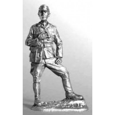 Оберлейтенант 53 го полка, Германская армия в Тунисе, 1943