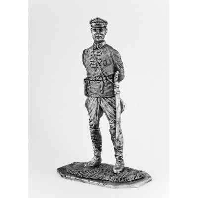 Командир бригады(гражданская война)