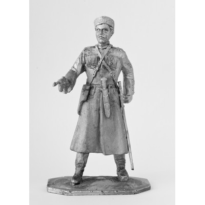 Генерал вооруженных сил Юга России, 1920 г.