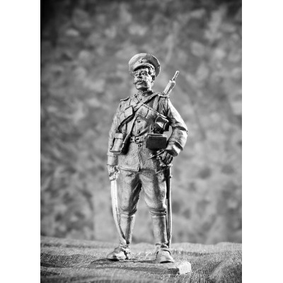 Казак, 1914 год.