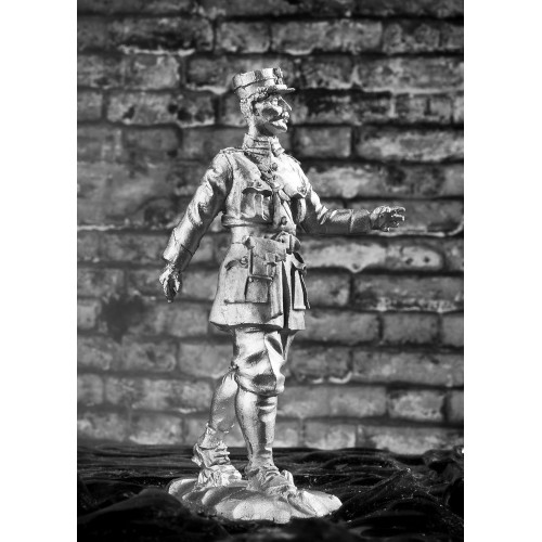 Румынский офицер, 1914 г.