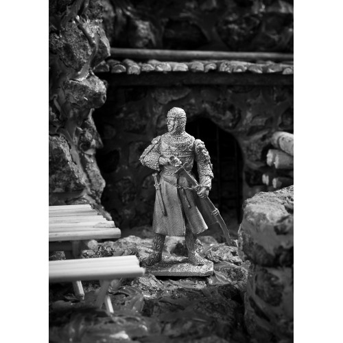 Томазо Булданус, итальянский рыцарь