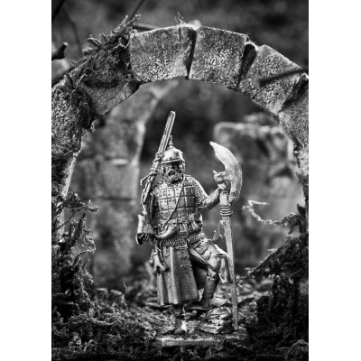 Выборный стрелец, 16 век