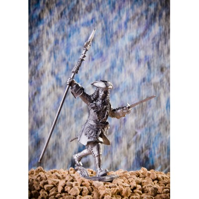 Капитан-поручик лейб-гвардии Преображенского полка, 1709 г.