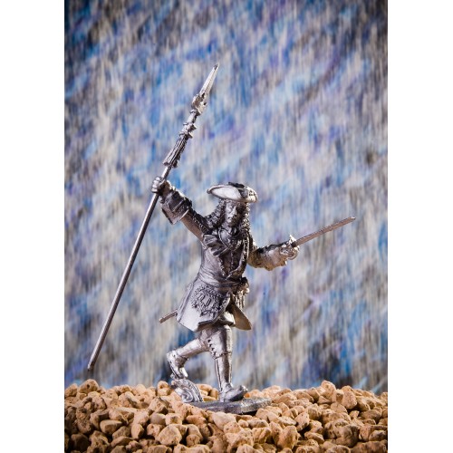 Капитан-поручик лейб-гвардии Преображенского полка, 1709 г.