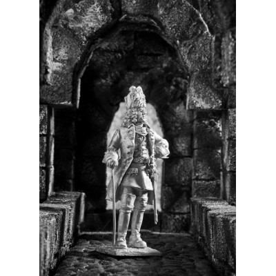 Офицер гренадеров Карла 12