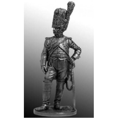 Гренадер полка Конных гренадеров Имп. гвардии. Франция, 1807-14 гг.