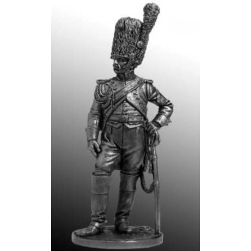 Гренадер полка Конных гренадеров Имп. гвардии. Франция, 1807-14 гг.