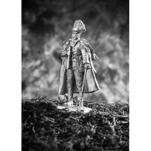 Генерал Пьер Домениль, 1814 г.