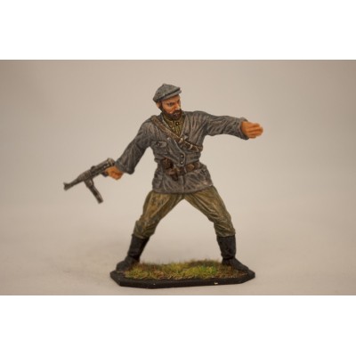 Партизан 1941-45 гг.