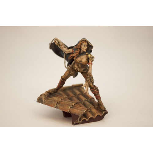 Эльфийка на крыше