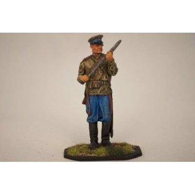 Донской казак 1914г