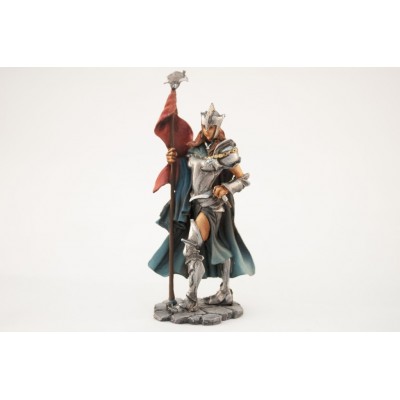 Фентези девушка знаменосец